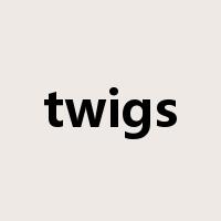twigs是什么意思
