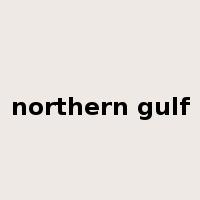 northern gulf是什么意思