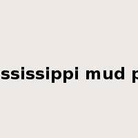 Mississippi mud pie是什么意思