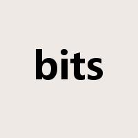 bits是什么意思