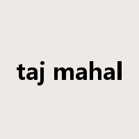 taj mahal是什么意思