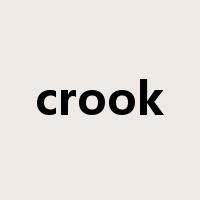 crook是什么意思