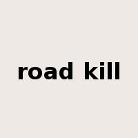road kill是什么意思