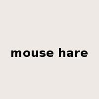 mouse hare是什么意思