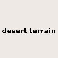 desert terrain是什么意思