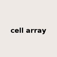 cell array是什么意思
