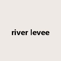 river levee是什么意思