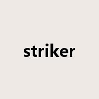 striker是什么意思