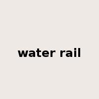 water rail是什么意思