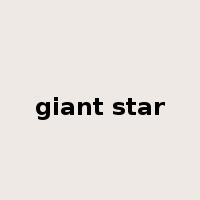 giant star是什么意思