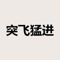 突飞猛进是什么意思