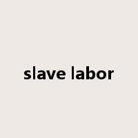 slave labor是什么意思