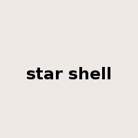 star shell是什么意思