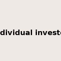 individual investor是什么意思