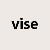 vise是什么意思