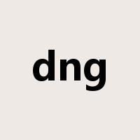 dng是什么意思