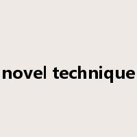 novel technique是什么意思