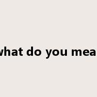 what do you mean是什么意思