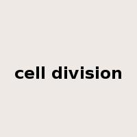 cell division是什么意思