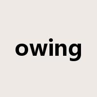 owing是什么意思