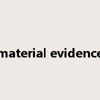 material evidence是什么意思