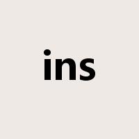 ins是什么意思