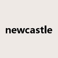 newcastle是什么意思
