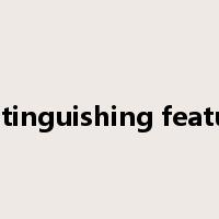 distinguishing feature是什么意思