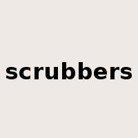 scrubbers是什么意思