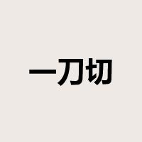 一刀切是什么意思