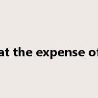 at the expense of是什么意思