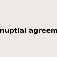prenuptial agreement是什么意思