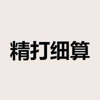 精打细算是什么意思