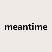 meantime是什么意思