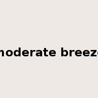 moderate breeze是什么意思