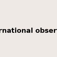 international observers是什么意思