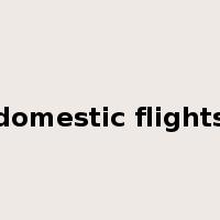 domestic flights是什么意思