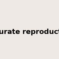 accurate reproduction是什么意思