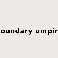 boundary umpire是什么意思
