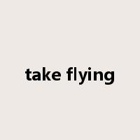 take flying是什么意思