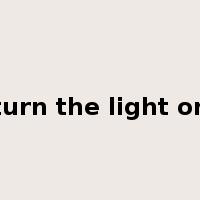 turn the light on是什么意思