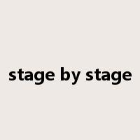 stage by stage是什么意思