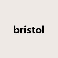 bristol是什么意思