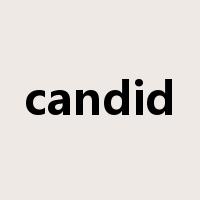 candid是什么意思
