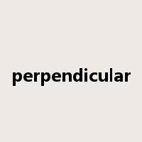 perpendicular是什么意思