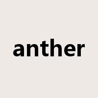 anther是什么意思