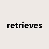 retrieves是什么意思