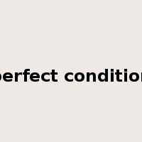 perfect condition是什么意思