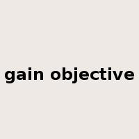 gain objective是什么意思