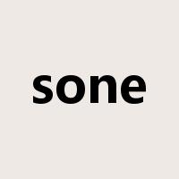 sone是什么意思